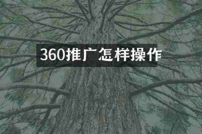 360推广怎样操作