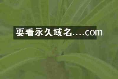 要看永久域名....com