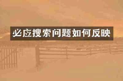 必应搜索问题如何反映