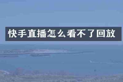 快手直播怎么看不了回放