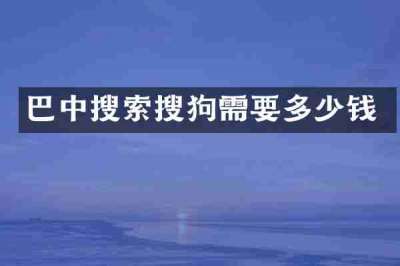 巴中搜索搜狗需要多少钱