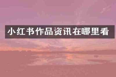 小红书作品资讯在哪里看