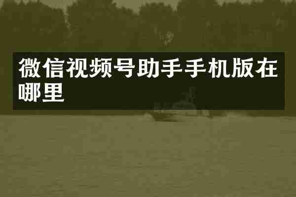 微信视频号助手手机版在哪里