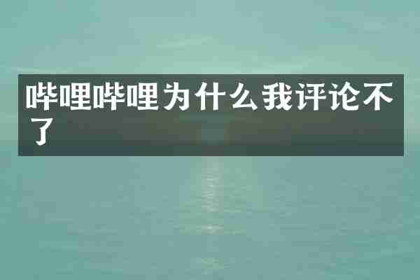 哔哩哔哩为什么我评论不了