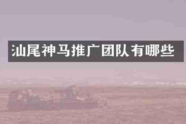 汕尾神马推广团队有哪些