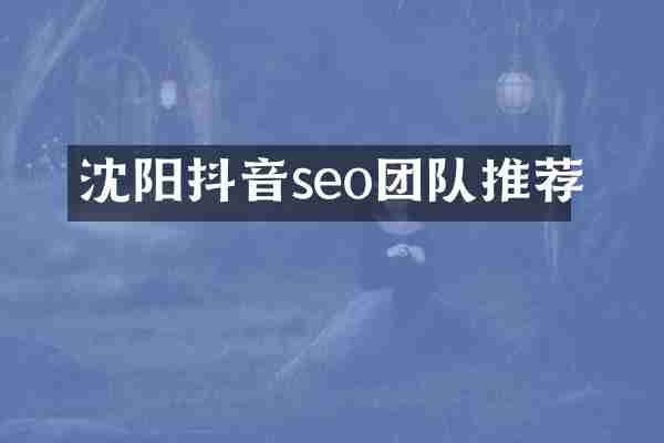 沈阳抖音seo团队推荐