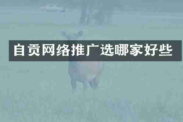自贡网络推广选哪家好些