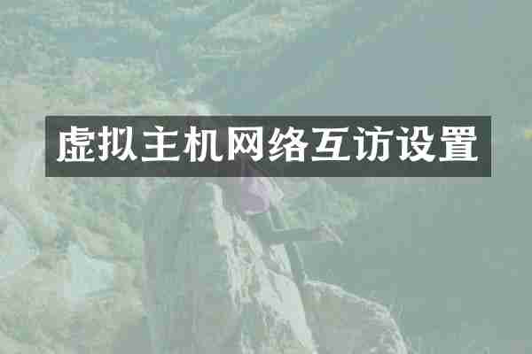 虚拟主机网络互访设置