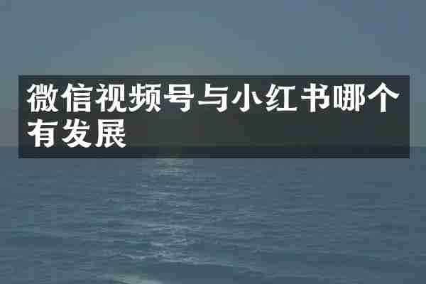 微信视频号与小红书哪个有发展