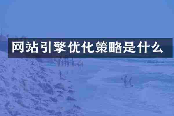 网站引擎优化策略是什么