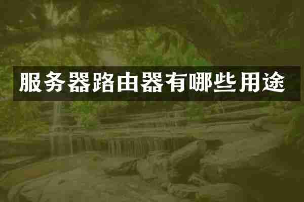 服务器路由器有哪些用途