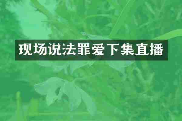现场说法罪爱下集直播