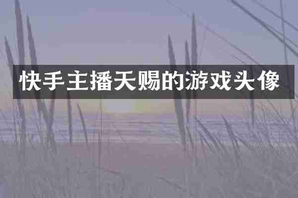 快手主播天赐的游戏头像