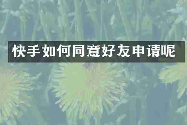 快手如何同意好友申请呢
