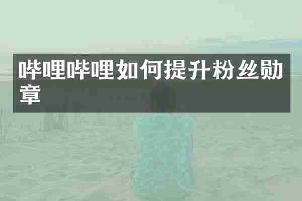 哔哩哔哩如何提升粉丝勋章