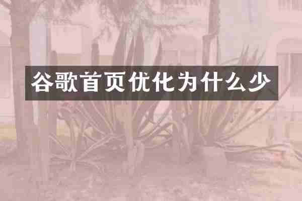 谷歌首页优化为什么少