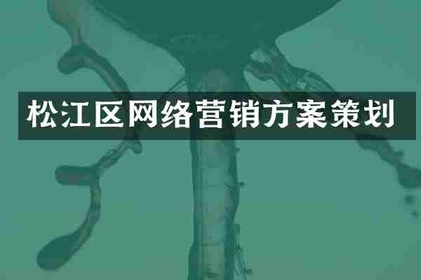 松江区网络营销方案策划