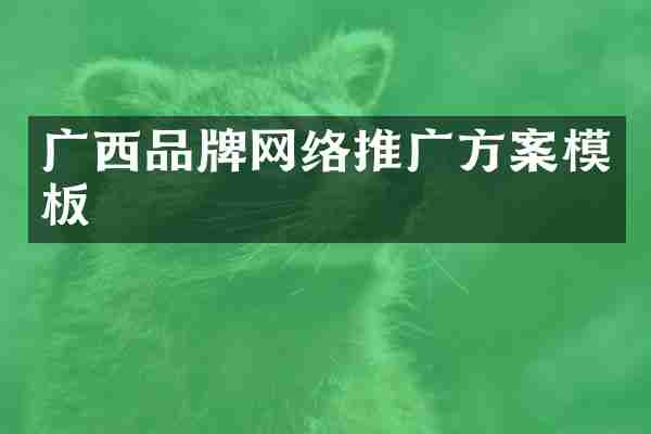 广西品牌网络推广方案模板