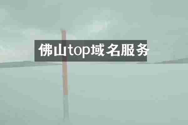 佛山top域名服务