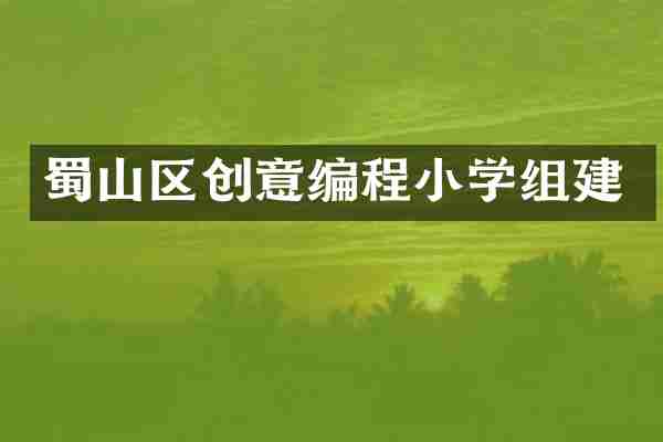 蜀山区创意编程小学组建