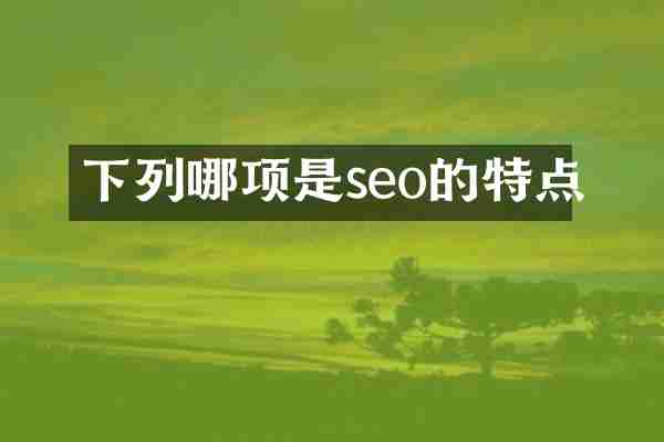 下列哪项是seo的特点