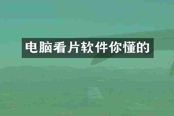电脑软件你懂的