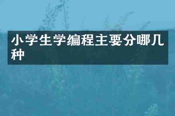 小学生学编程主要分哪几种