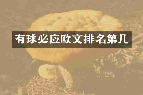 有球必应欧文排名第几
