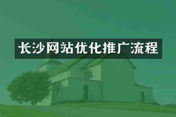 长沙网站优化推广流程