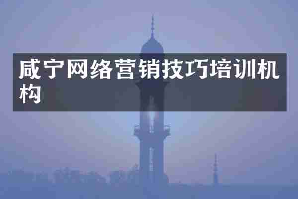 咸宁网络营销技巧培训机构