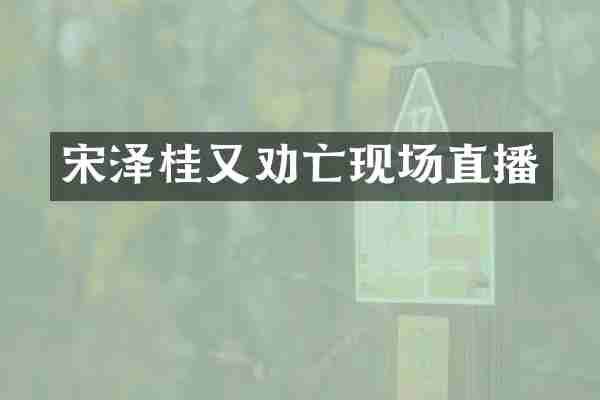 宋泽桂又劝亡现场直播