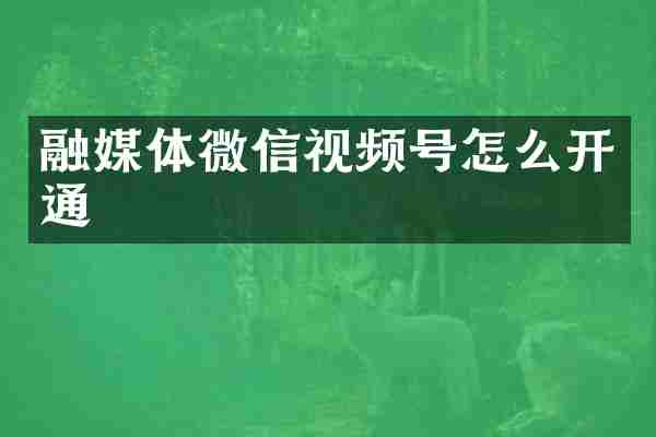 融媒体微信视频号怎么开通