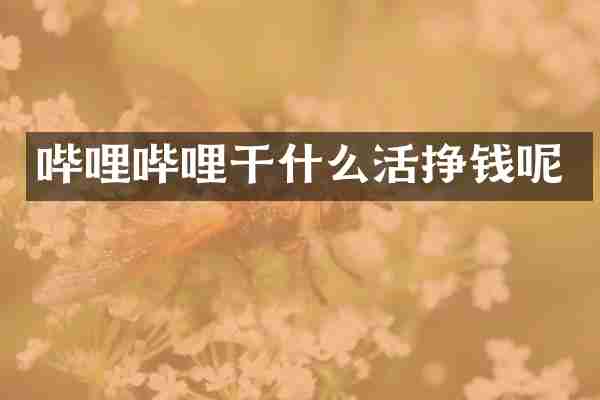 哔哩哔哩干什么活挣钱呢