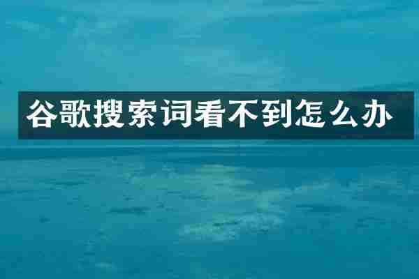 谷歌搜索词看不到怎么办