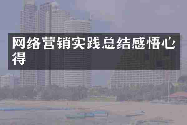 网络营销实践总结感悟心得