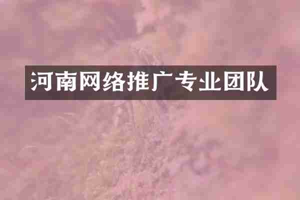 河南网络推广专业团队
