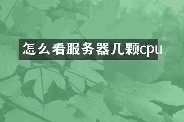 怎么看服务器几颗cpu