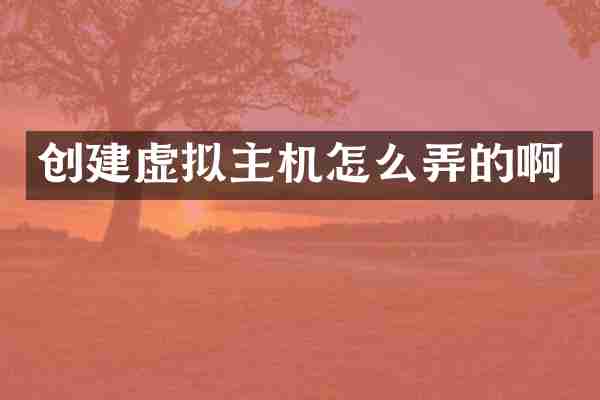 创建虚拟主机怎么弄的啊