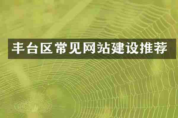 丰台区常见网站建设推荐