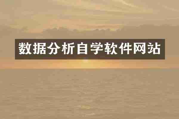 数据分析自学软件网站