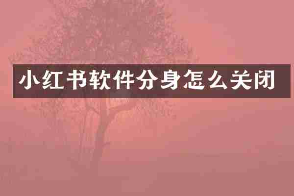 小红书软件分身怎么关闭