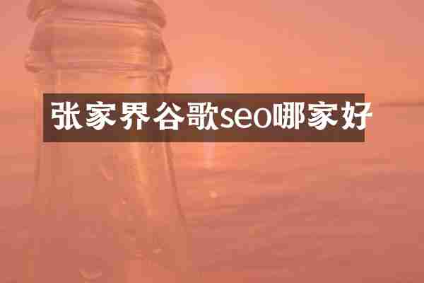 张家界谷歌seo哪家好