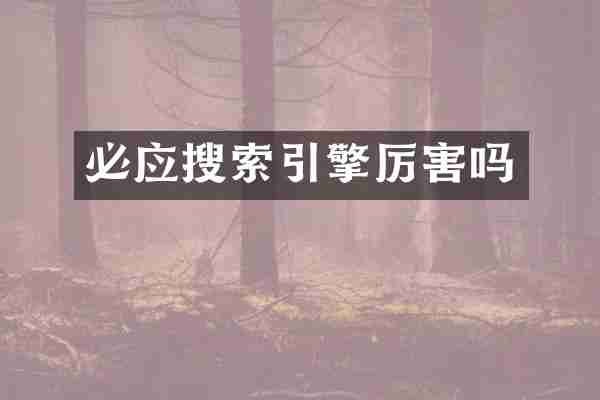 必应搜索引擎厉害吗