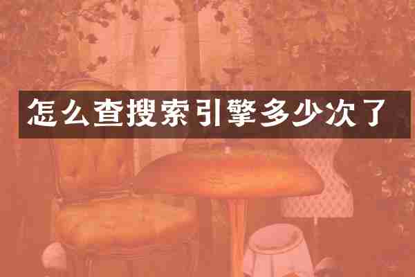 怎么查搜索引擎多少次了