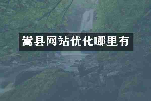 嵩县网站优化哪里有