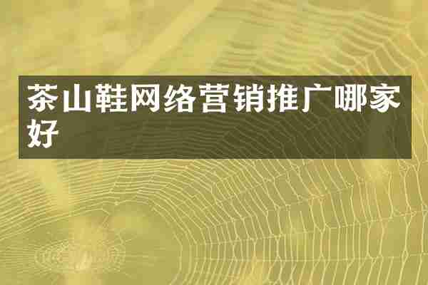 茶山鞋网络营销推广哪家好