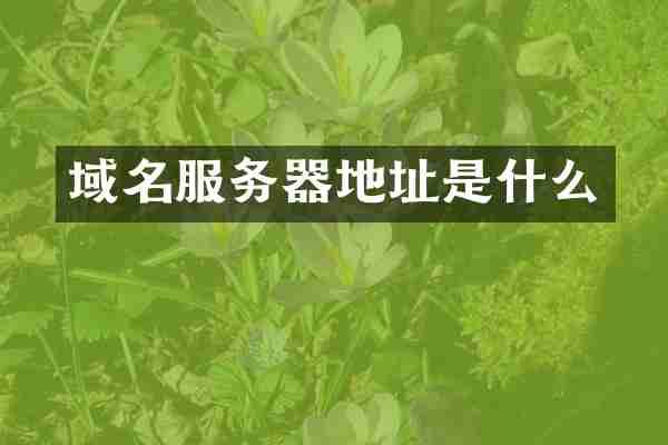 域名服务器地址是什么