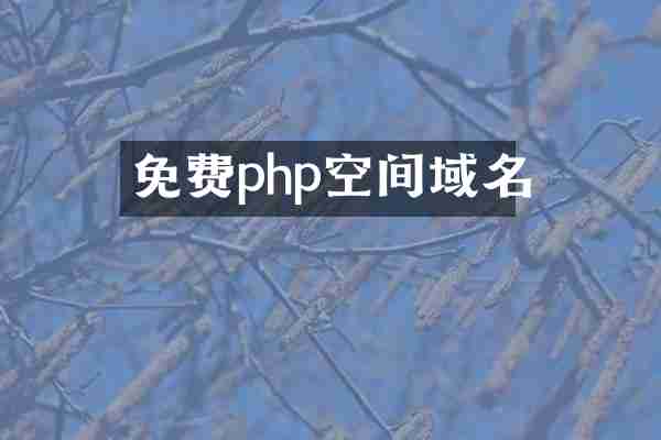免费php空间域名