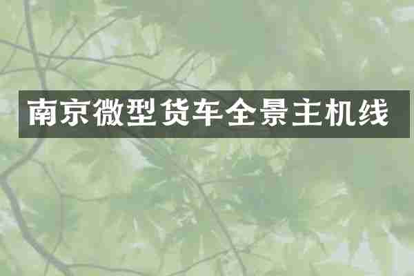 南京微型货车全景主机线