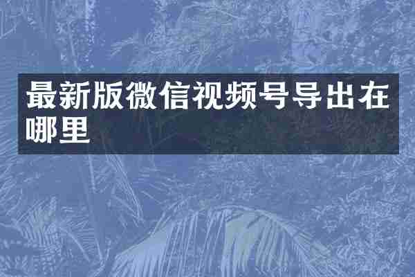 最新版微信视频号导出在哪里